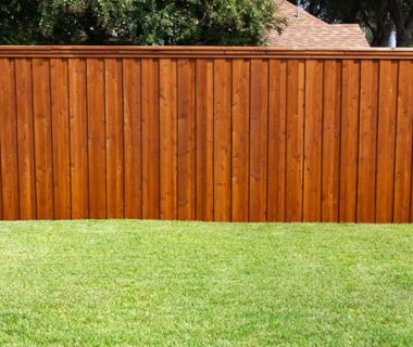 fence-painting fence-painting
