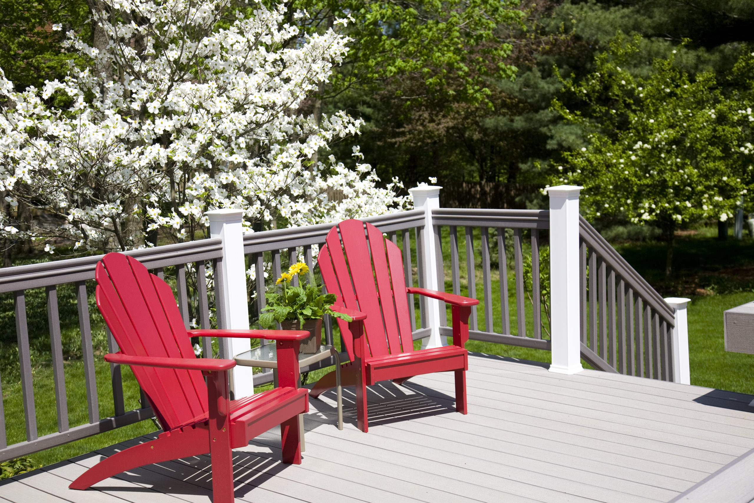 A grey painted deck with red chairs in front of white flowers
